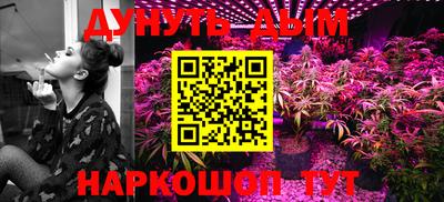 индика Первоуральск