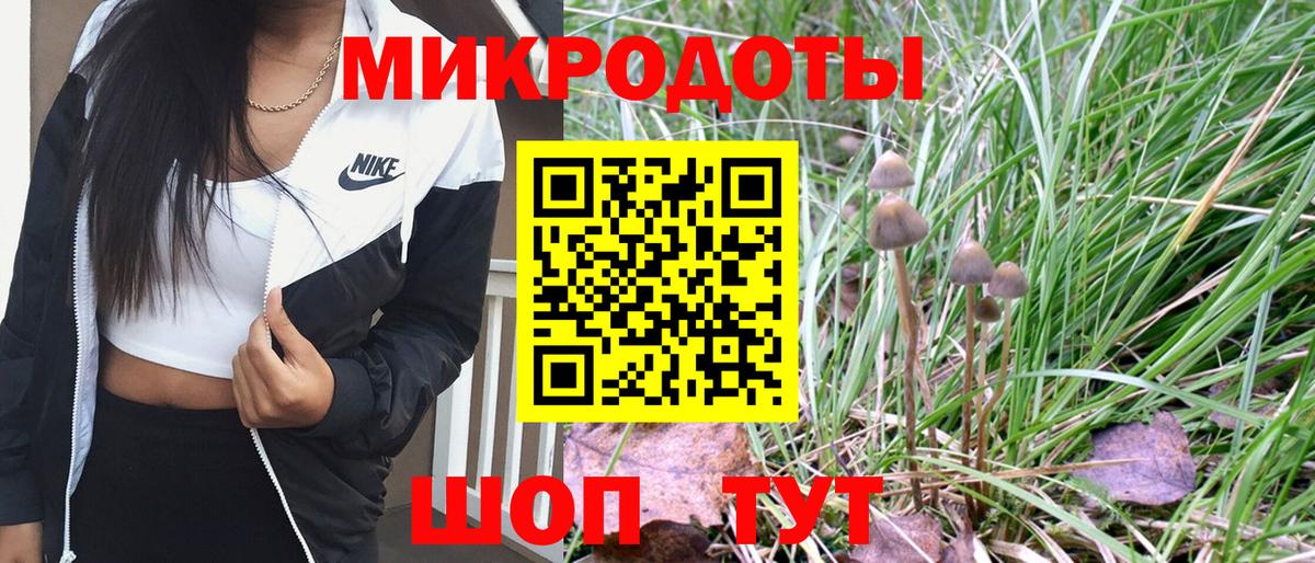 Галлюциногенные грибы Magic Shrooms  закладки  Туймазы  Вход с VPN 